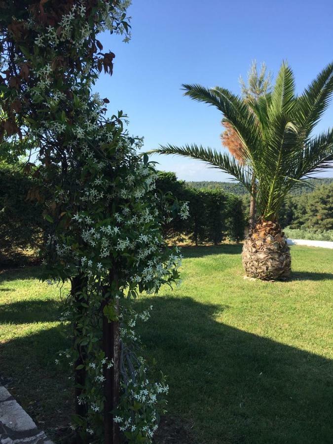 סיווירי 3 Bedroom Villa In Elani Villas Chalkidiki מראה חיצוני תמונה